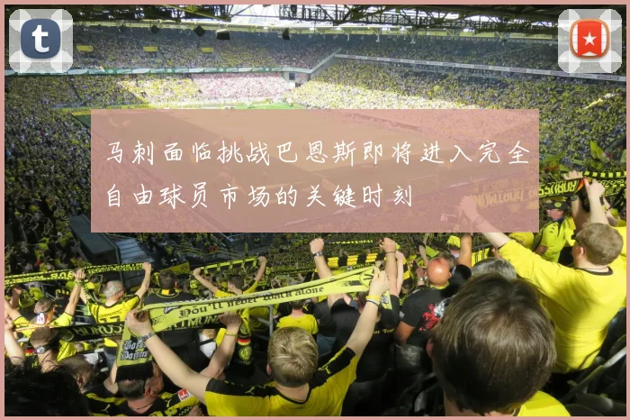 马刺面临挑战巴恩斯即将进入完全自由球员市场的关键时刻