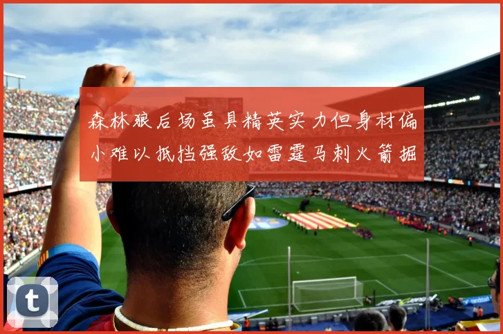 森林狼后场虽具精英实力但身材偏小难以抵挡强敌如雷霆马刺火箭掘金