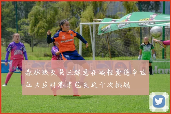 森林狼交易三球意在减轻爱德华兹压力应对赛季包夹近千次挑战
